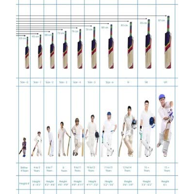 SS Master 5000 English Willow Cricket Bat