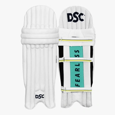 DSC Premium Kashmir Willow Cricket Kit Set Multicolor