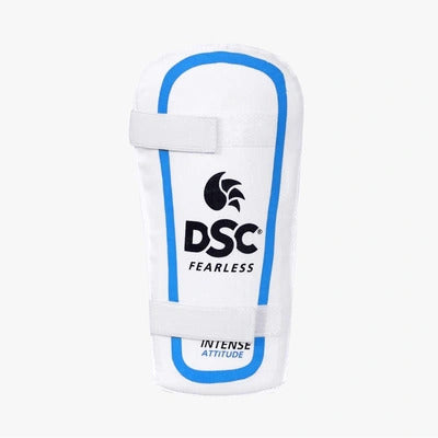 DSC Premium Kashmir Willow Cricket Kit Set Multicolor