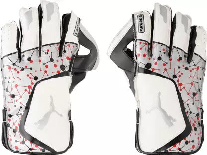 PUMA Future 20.3 Cricket Wicket Keeping Gloves