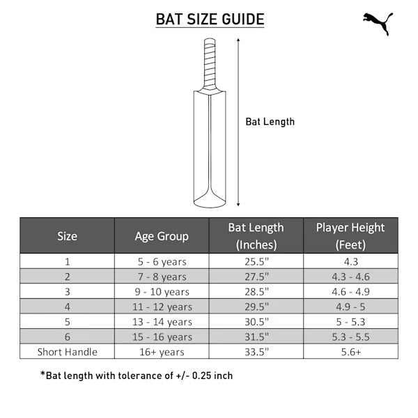 PUMA Future 20.3 Kashmir Willow Youth Bat
