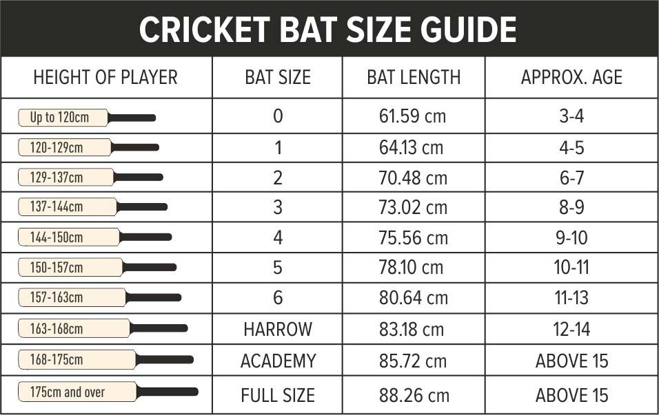 DSC Wildfire Fervor Scoop Tennis Cricket Bat