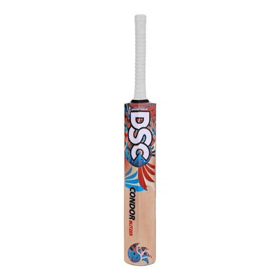 Dsc Condor Blitzer Kashmir Willow Cricket Bat (colour May Vary)