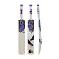 DSC Wildfire Ignite Kashmir Willow Cricket Bat