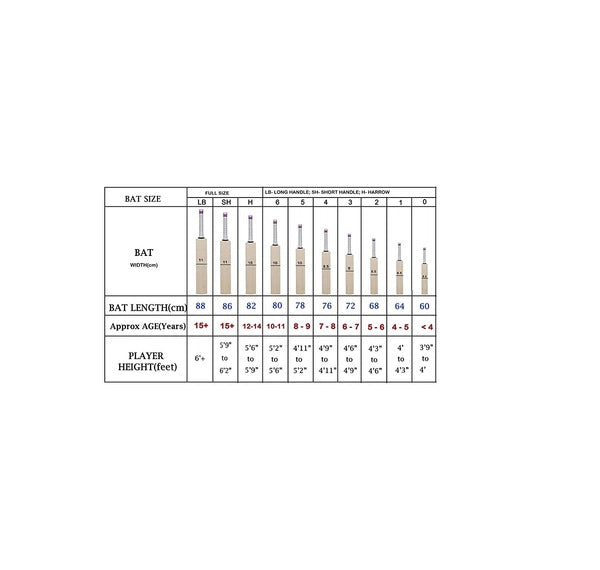 Dsc Condor Flicker Kashmir Willow Cricket Bat