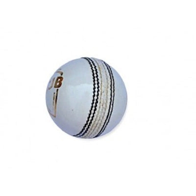 Sg Club Leather White Cricket Ball