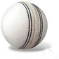 Sg Club Leather White Cricket Ball