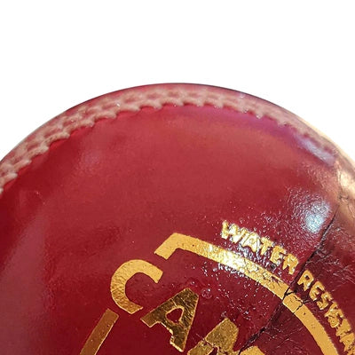 SG campus four piece leather cricket ball - red